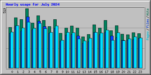 Hourly usage for July 2024